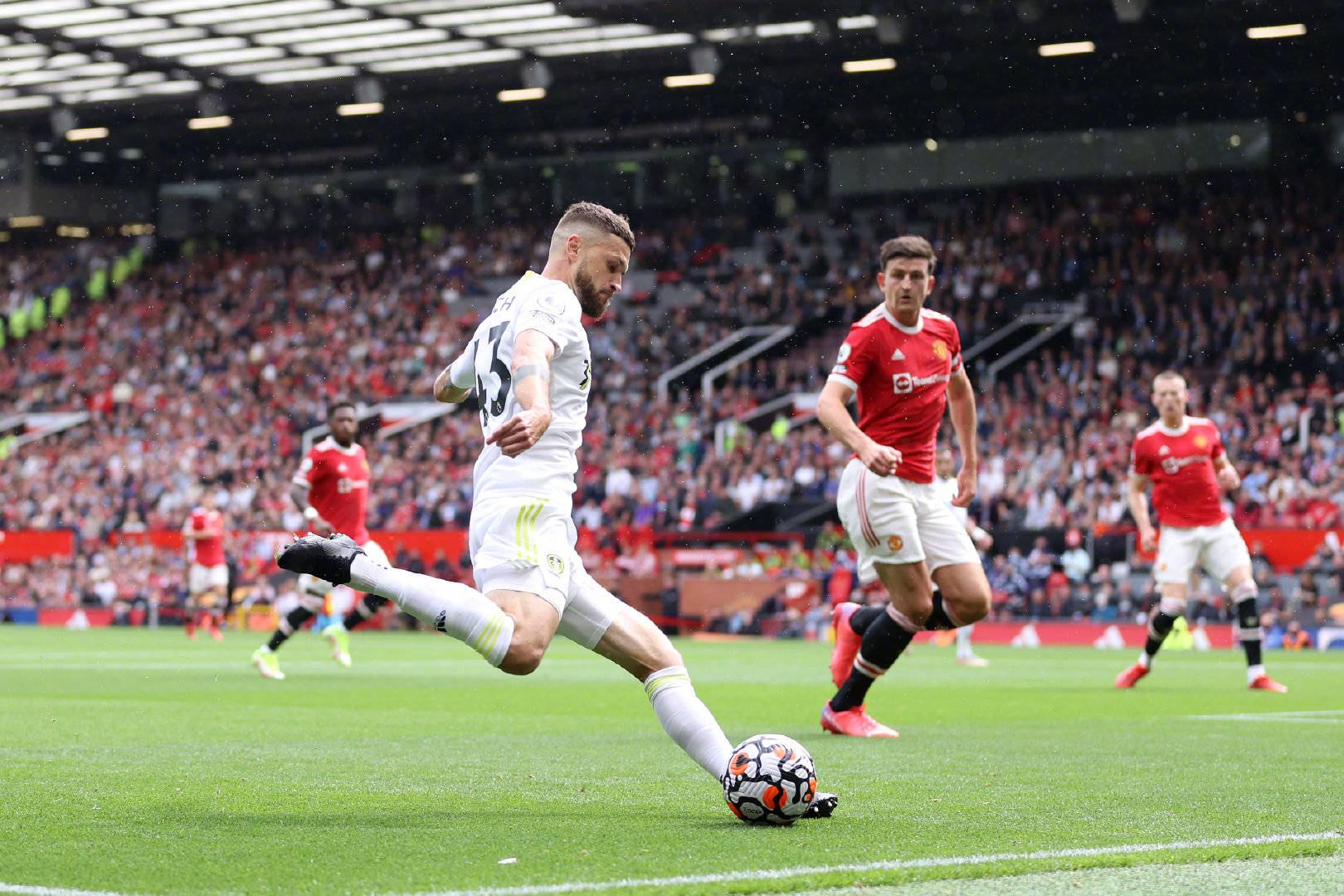 意外的友谊 意外的友谊